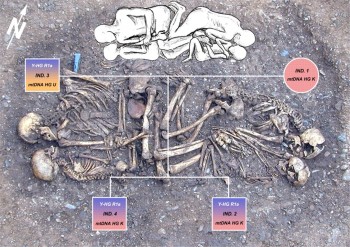 Figure 1: the parent-child burial at Eulau, Germany (2700-2400 calBC) (Haak et al., 2008: 18227)